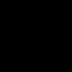 Meet your Posher, Janeth